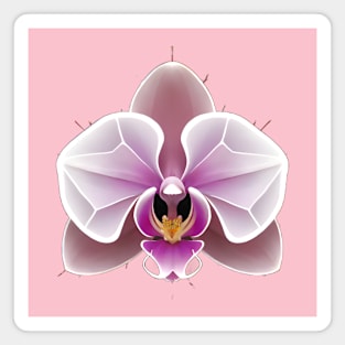 Style  Pink Orchid Collection are Made Up of Various Geometric Shape Magnet